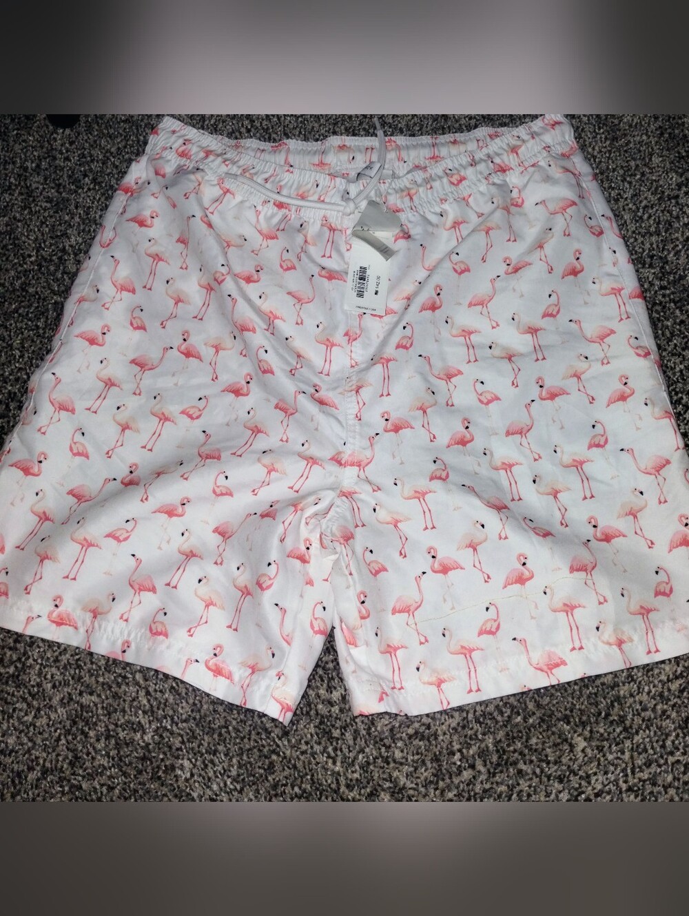 NWT 🦩 Janie and Jack Boys Flamingo Swim Trunks Size 18